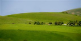 春天绿色草地图片